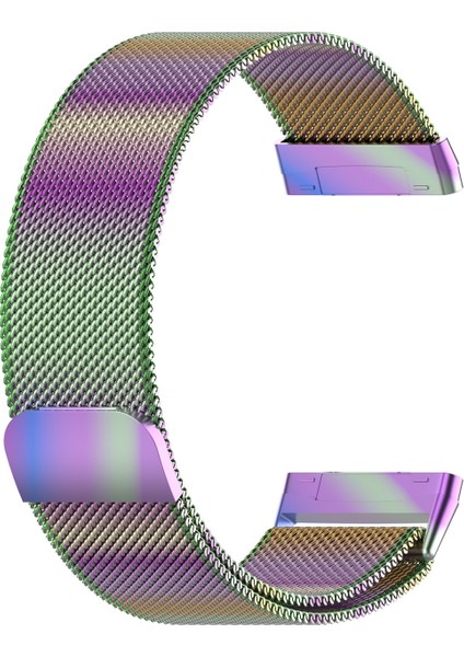 Fitbit Versa 3 / Fitbit Sense Manyetik Milano Watch Band Için, Boyut: Büyük Boy Renkli (Yurt Dışından)