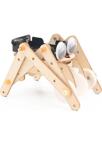 Dıy Science Toys Çocuk Eğitim Kök Kitleri Araba Dinozor Model Teknoloji Deneysel Araç Ahşap Oyunlar Okul Tedarik: Örümcek Robot (Yurt Dışından)