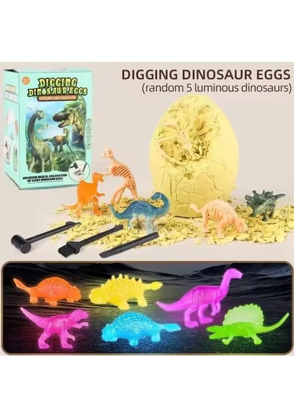 Dinozor Fosilleri Çocuklar Dig Science Kit Dinozor ve Kazı Çocuklar Için Bilim Kitleri Erkek Kızlar Eğitim Toycolor: Dinosaure Lumineux (Yurt Dışından)