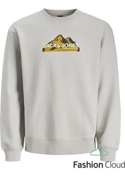 3 Iplik Erkek Sweatshirt