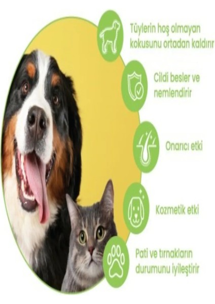 Kedi- Köpek Deri ve Tüy Sağlığı 2-20 kg Köpekler ve Kediler Için