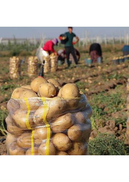 Patates, Soğan, Sarımsak İçin Gübre (COMPLEX-1000ML ve Bor-8 1000ML) Organik Sıvı Gübre Ürün Sayısını Arttırır- Kalite ve Verimi Arttırır-Köklenme ve Direnç Artışı Sağlar -Yeşil Aksamı Geliştirir.