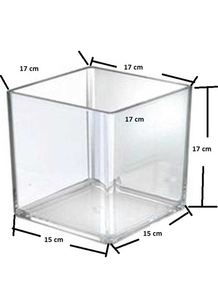 Betta Kabı 17X17X15 Cm. Beta Fanusu Karides