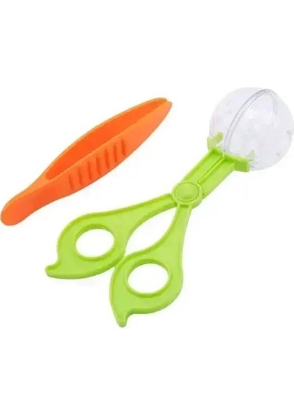 Montessori Matematik Props Bebek Dijital Bilişsel Eşleştirme Bulma Bulma Bulmacası Igenicious Incil Çocukların Ince Action Oyuncak: Klip Boncuklar (Yurt Dışından)