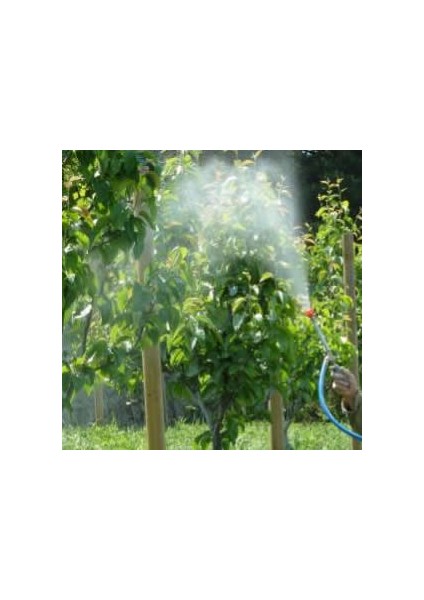 Tarımsal Kaolin Kili 25KG modelleri