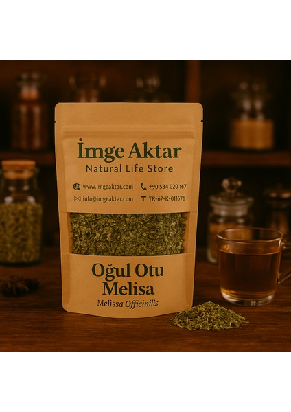 Oğul Otu Melisa 50 gr