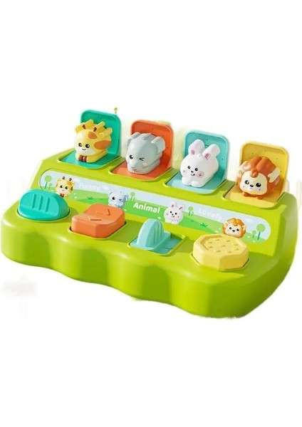 Montessori Pop Up Hayvan Oyuncakları ve Öğrenme Kutuları, Çocuk Doğum Günü Hediyesi Renkleri Için Uygun Mantıksal Düşünme ve Motor Becerilerini Geliştirir: Yeşil (Yurt Dışından)