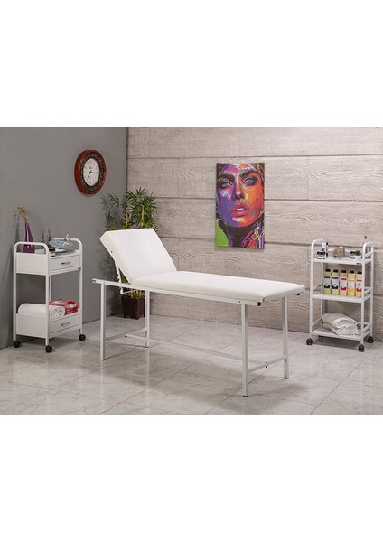 Basic Cilt Bakım Sedyesi Masaj Sedyesi Spa Sedyesi Muayene Sedyesi Ağda Sedyesi fırsatları