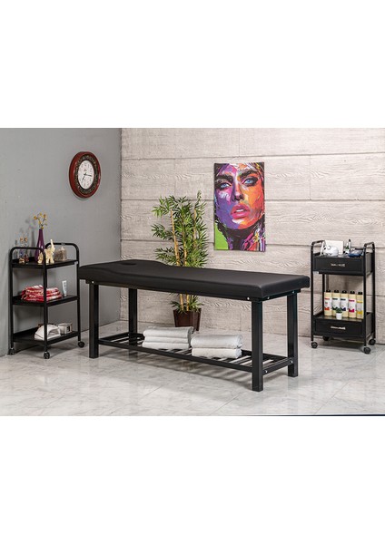 Elit Cilt Bakım Sedyesi Masaj Sedyesi modelleri