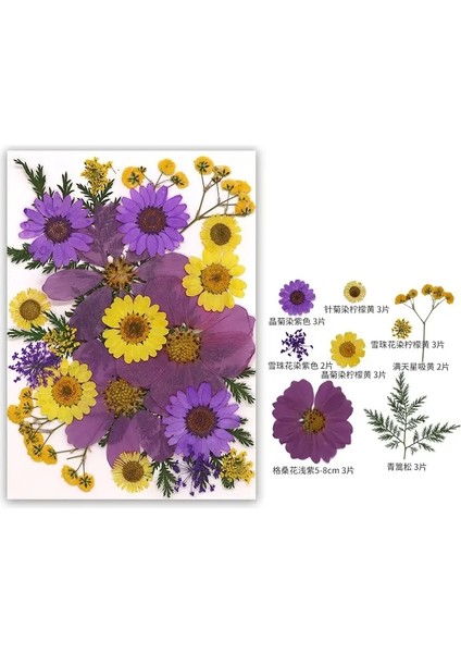 Dıy Reçine Kalıp Için Kurutulmuş Çiçek Dolgular Gerçek Doğal Preslenmiş Çiçek Yaprakları Scrapbooking Diy Sanat El Sanatları Tırnak Sanat Dekorcolor: Çok Renkli (Yurt Dışından)