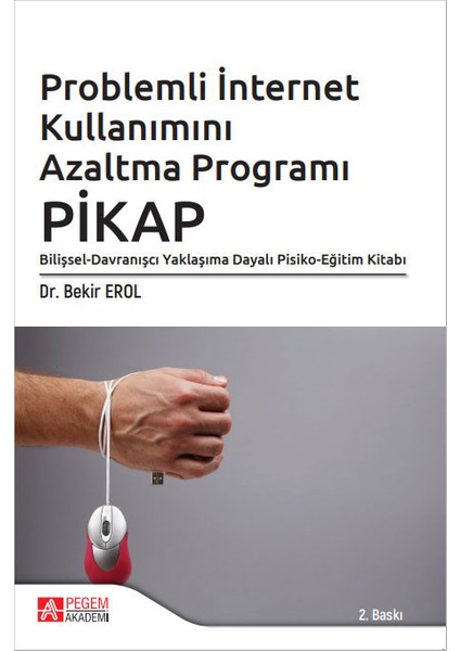 Problemli İnternet Kullanımını Azaltma Programı: PİKAP