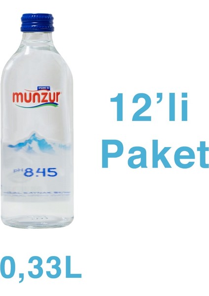 Su Cam Şişe 330 ml 12'li