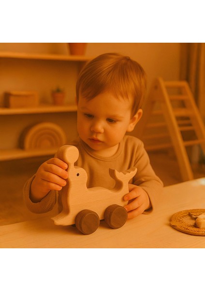 Ahşap El Yapımı Doğal Montessori Yunus Balığı Tekerlekli Oyuncak - 5053 indirimleri
