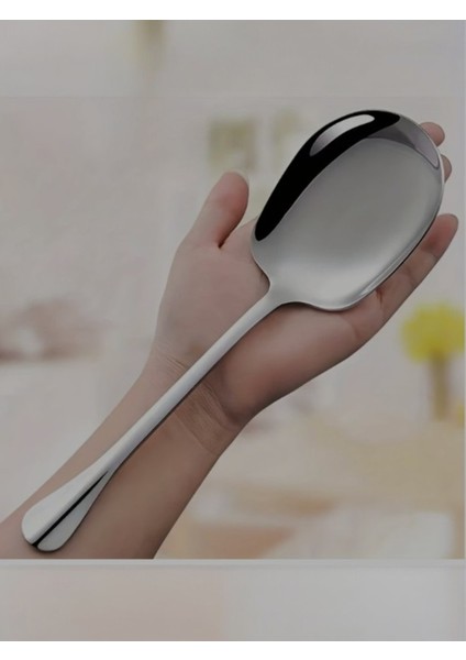 Çelik 25 Cm- 21 cm 2 Adet Büyük Küçük Boy Servis Kaşığı / Sunum Kaşığı