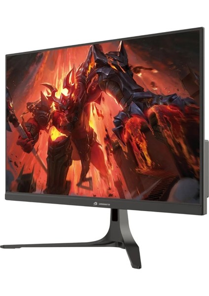 GB-2717FF 27" 165Hz 0.5ms Fhd Freesync+G-Sync Hdmı+Dp Ss IPS Gaming Monitör