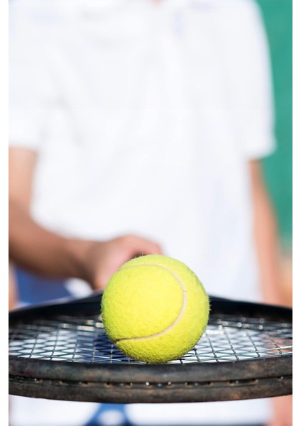 3 Adet Tenis Topu Başlangıç Seviye Eğitim Antrenman Amatör Maç Topu Tennis Ball fırsatları