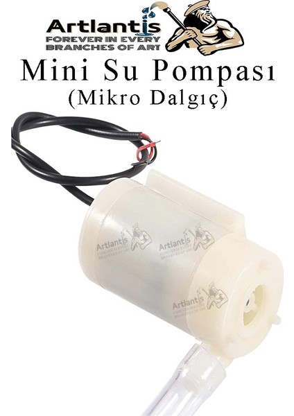 Mini Su Pompası Deney Seti 1 Adet Hortum Pil Yatağı Anahtar Mikro Dalgıç Pompa Solonoid Su Pompası Küçük Akvaryum Motoru