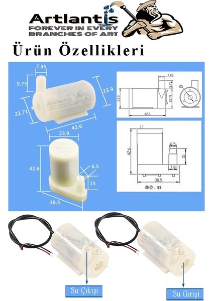 Mini Su Pompası Deney Seti 1 Adet Hortum Pil Yatağı Anahtar Mikro Dalgıç Pompa Solonoid Su Pompası Küçük Akvaryum Motoru