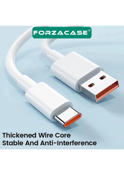 iPad 2022 2024 2025 ile Uyumlu Hızlı Şarj Destekli 120W Type-C USB Şarj Cihazı Seti FC1025