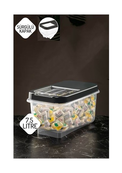 Engithalat Reagan Tablet ve Deterjan Saklama Kutusu 7.5 Lt Antrasit