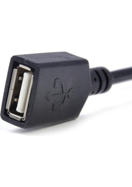 Toyota Corolla Camry Prius Rav4 Lexus USB Mp3 Kablosu SKU67 modelleri