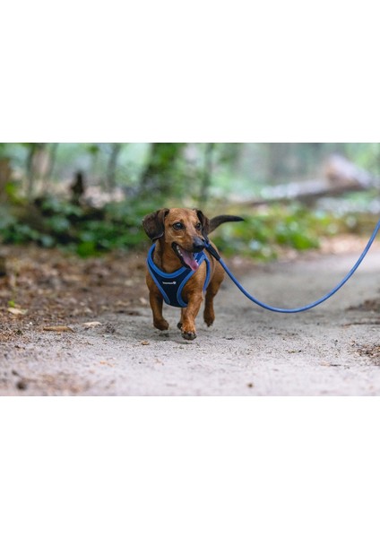 Köpek Göğüs Tasması, Neopren, Mavi, xs, 30-35cm indirimleri