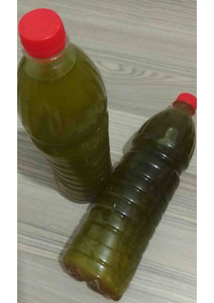Hatay Yöresel Sızma Zeytinyağı