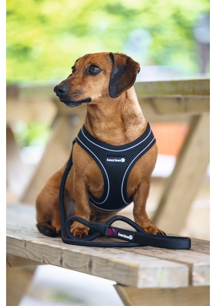 Köpek Göğüs Tasması, Neopren, Siyah, S, 38-44CM