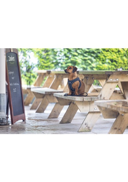 Köpek Göğüs Tasması, Neopren, Siyah, S, 38-44CM indirimleri