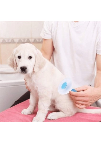 Kedi Köpek Tüy Toplayıcı Kendini Temizleyebilen Ergonomik Saplı Evcil Hayvan Tarağı Mavi ( Lisinya )