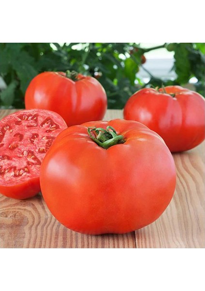 5 Adet Beef Iri Domates Fidesi