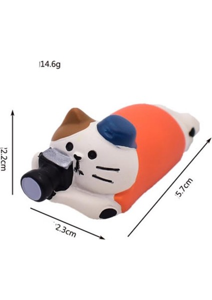 Fotoğraçı Kedi Mini Figür fiyatları