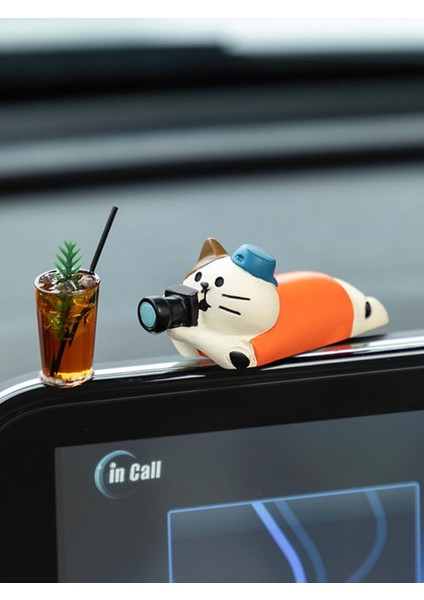Fotoğraçı Kedi Mini Figür modelleri