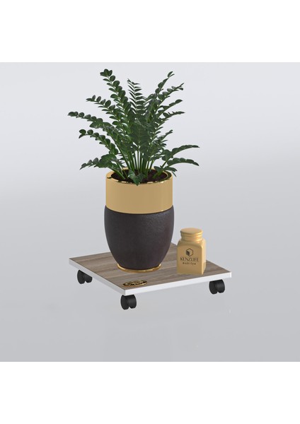 Kenzlife Saksı Damacana Altlığı Necmi Crd 010*039*39 Tüp Saksılık