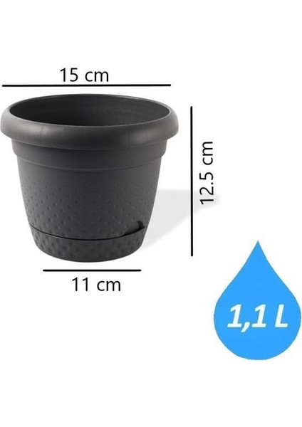 Krs Dekoratif Inci Bitki Çiçek Saksı Takımı 5'li Set Antrasit fırsatları