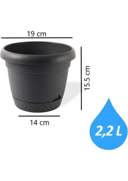 Krs Dekoratif Inci Bitki Çiçek Saksı Takımı 5'li Set Antrasit indirimleri