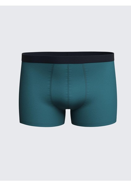 Lc Waıkıkı Standart Kalıp Pamuklu Esnek Erkek Boxer 3'lü (S5) fırsatları