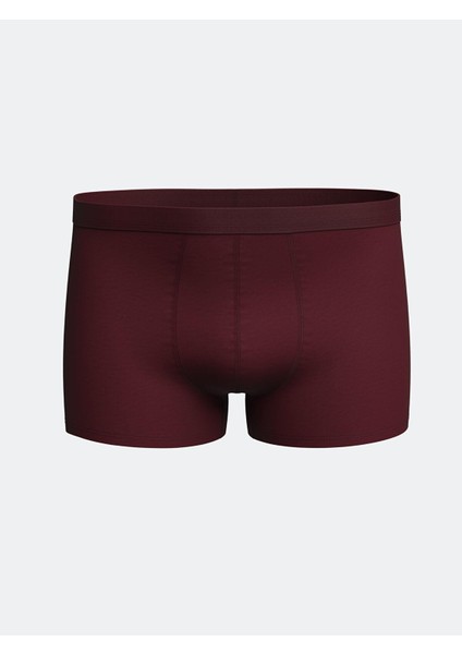 Lc Waıkıkı Standart Kalıp Pamuklu Esnek Erkek Boxer 3'lü (S5) modelleri