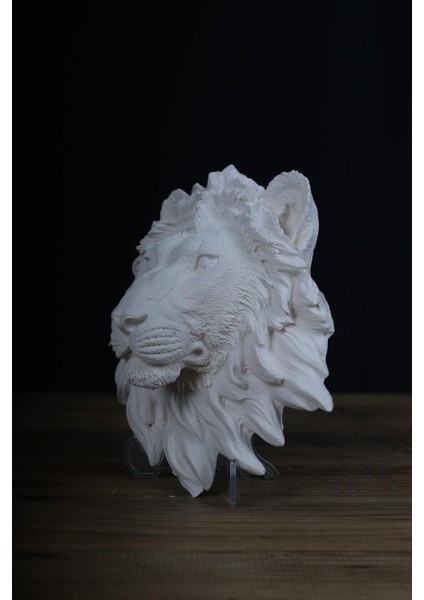 Aslan Başı Heykel / Aslan Kafası Heykel