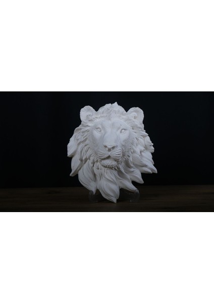 Aslan Başı Heykel / Aslan Kafası Heykel