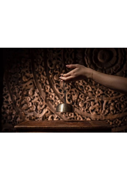 SB-C-250 Cosmos Therapy Singing Bowl 3.7'' fırsatları