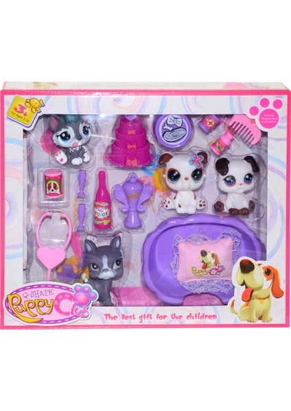 CL2105ABC Kutuda Petshop Set