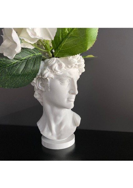 David Saksı Dekoratif David Büstü Saksı Model 20 cm Davut Heykeli Ev Ofis Dekor