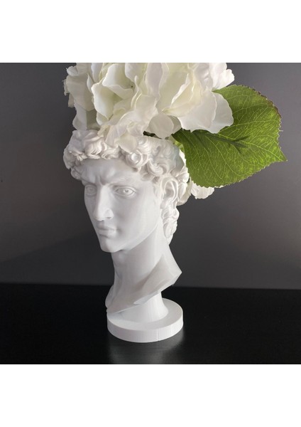 David Saksı Dekoratif David Büstü Saksı Model 20 cm Davut Heykeli Ev Ofis Dekor