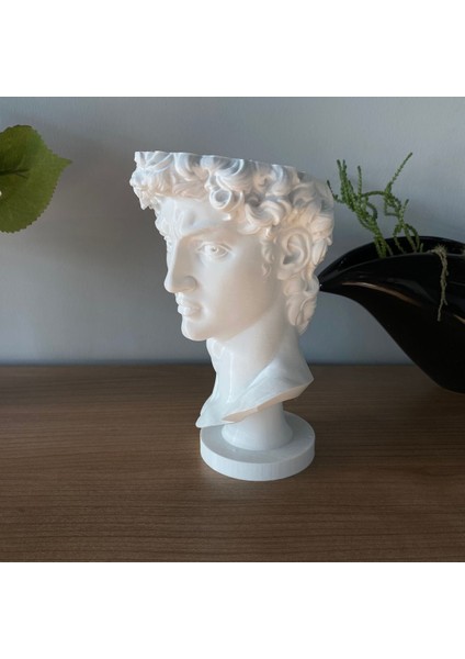 David Saksı Dekoratif David Büstü Saksı Model 20 cm Davut Heykeli Ev Ofis Dekor