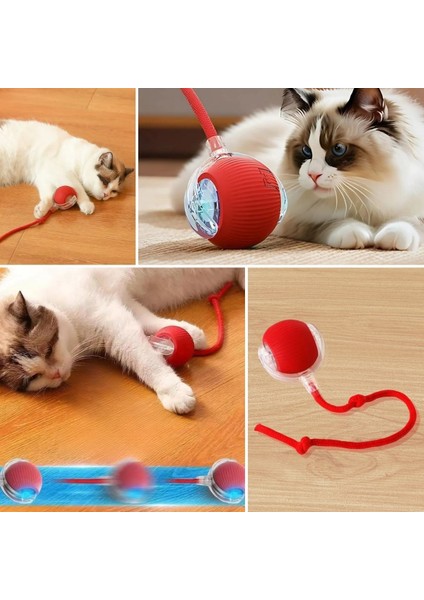 Teknoliman® Şarjlı Otomatik Hareketli Kedi Köpek İçin 360 Derece Dönen Interaktif Akıllı Oyun Topu