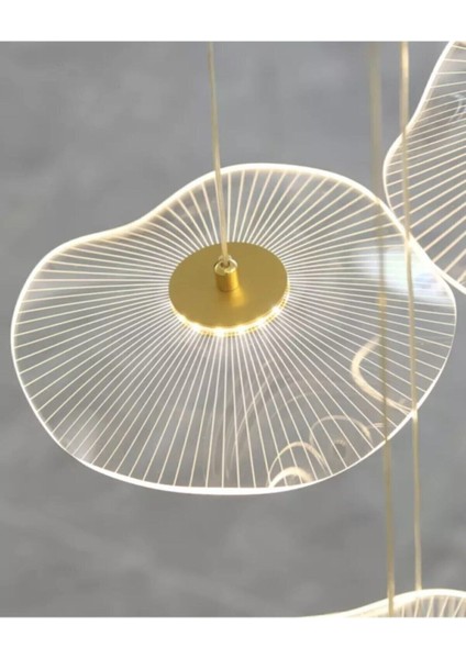 Luxury Exclusive Üçlü Yuvarlak Sarkıt LED Avize Jellyfish Salon Mutfak Oturma Odası Avize Gold Sarı