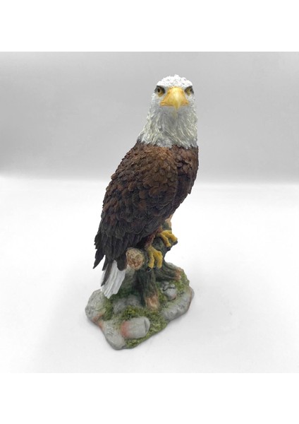 Veronese Kel Kartal Figürü, Renkli El Boyaması, Dekoratif Heykel 13 x 9,5 x 22 cm modelleri