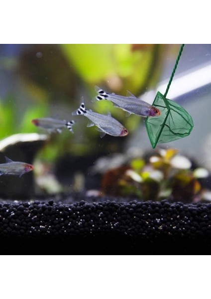 Akvaryum Balık Kepçesi 12 cm Tdrtr fiyatları