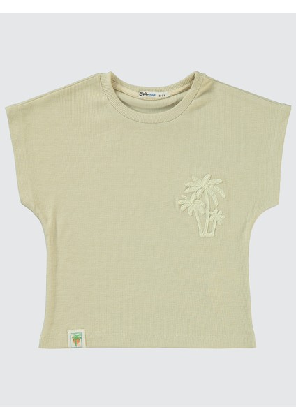 Erkek Çocuk Takım 2-5 Yaş Bej modelleri